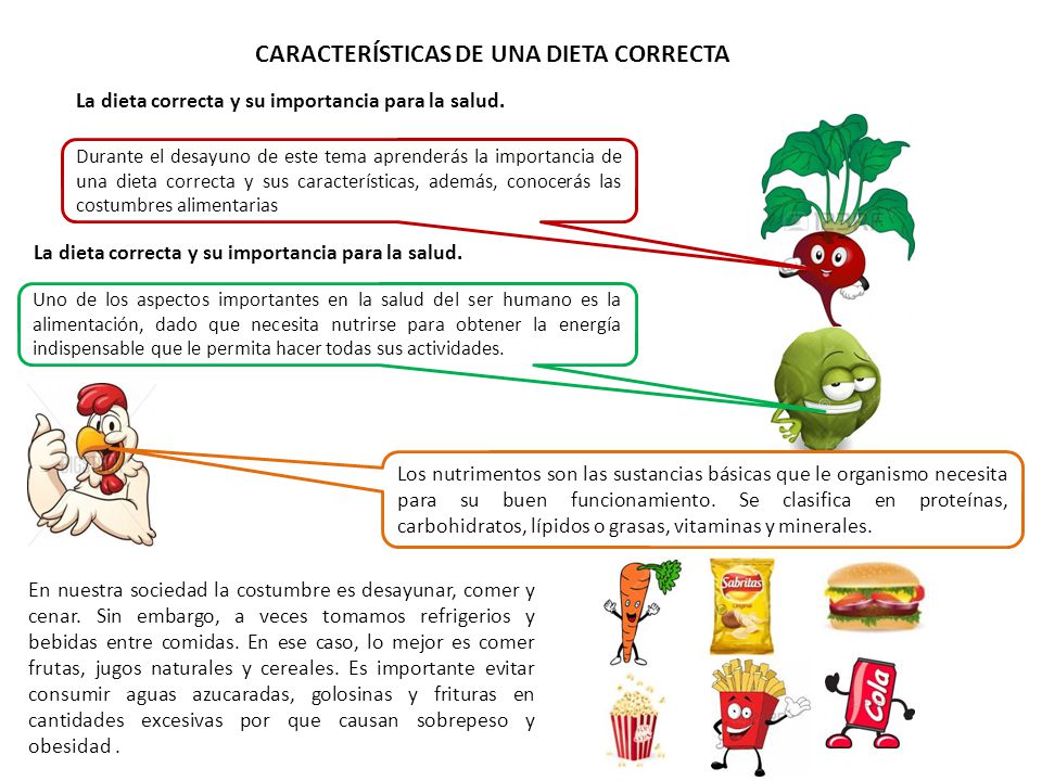 cual es la importancia de una dieta correctamente cual es la importancia de una dieta correctamente